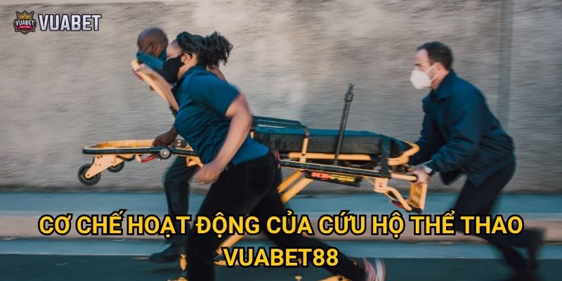 Dịch vụ cứu hộ thể thao tại Vuabet88 có đáng tin cậy không? 2 Cơ chế hoạt động của cứu hộ thể thao Vuabet88